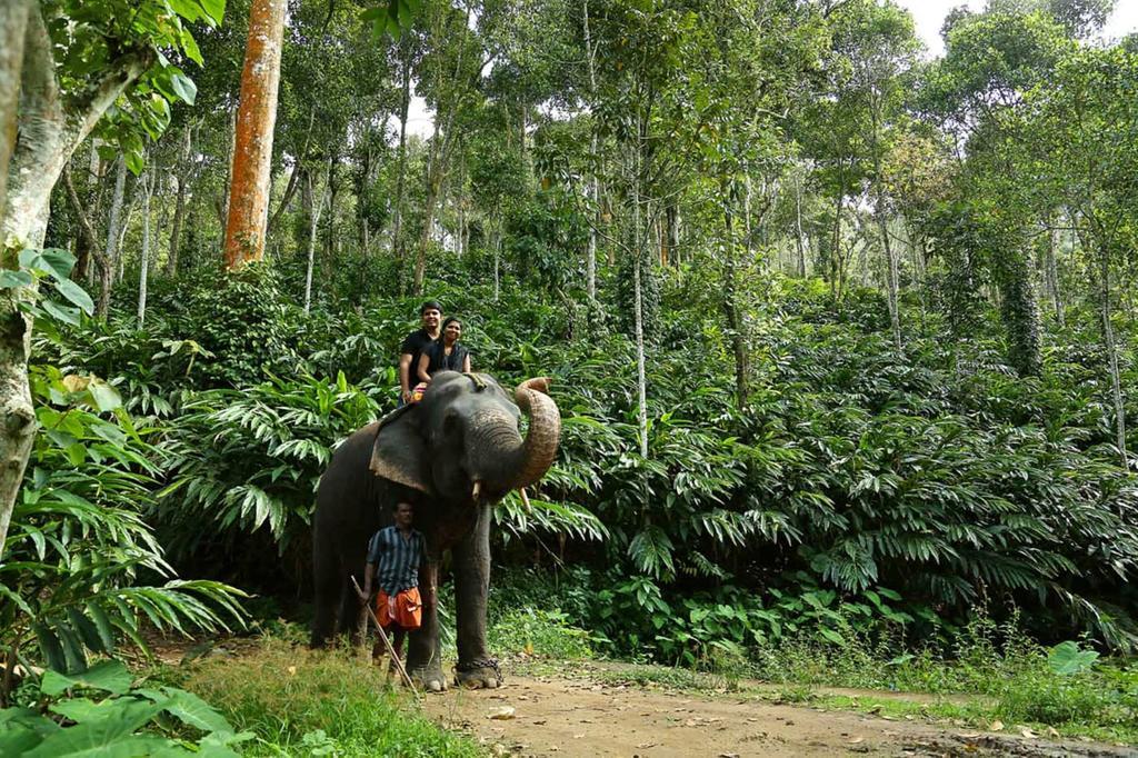 Peppervine Hotel Thekkady Ngoại thất bức ảnh